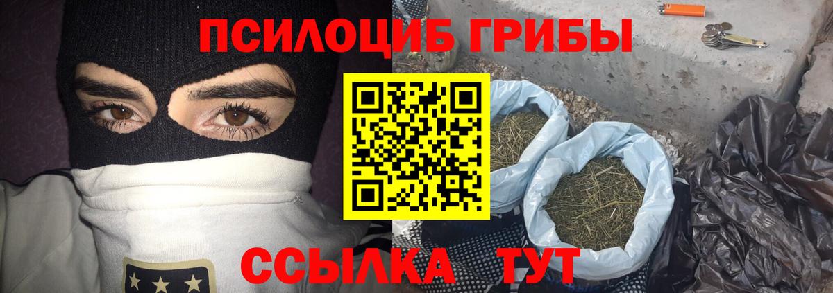 Псилоцибиновые грибы Psilocybine cubensis Соликамск
